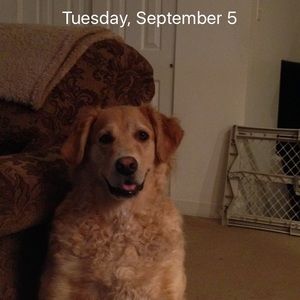 Meet your Posher, Beth